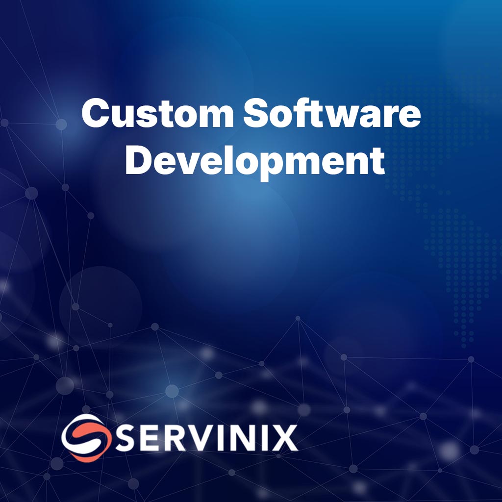 Custom Software Development - Professional Package